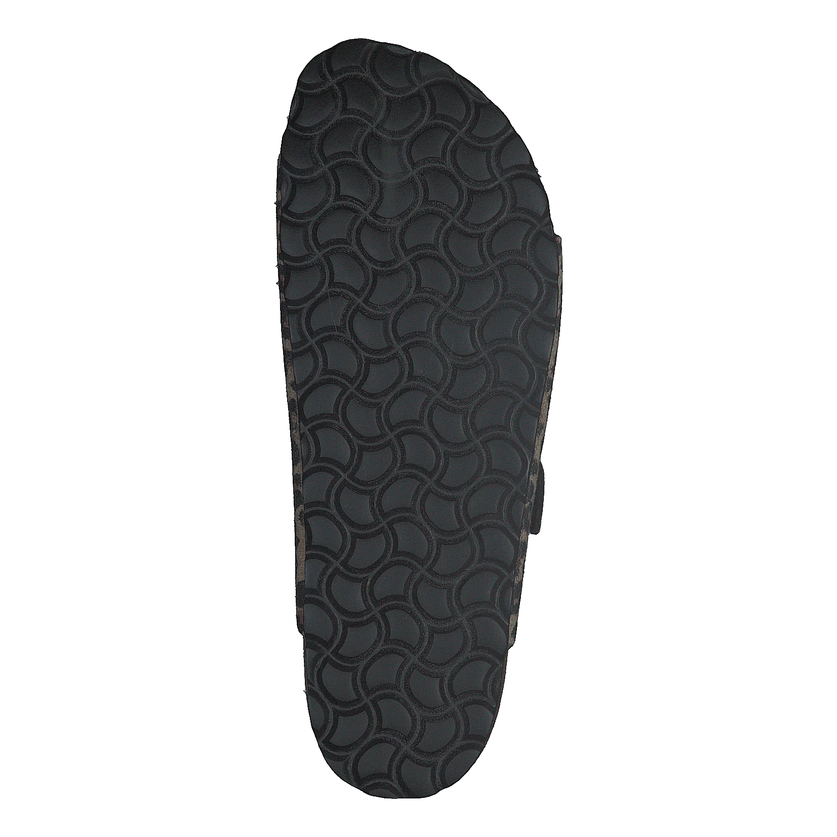 Charlie Chestnut/leopard