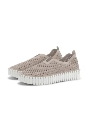 Tulip Platform With Cut Outs - Atmosphere